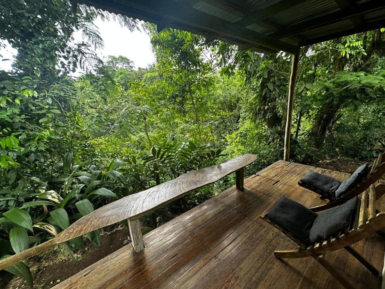 Casa Rio Blanco Eco Friendly B&B Guápiles Exterior foto